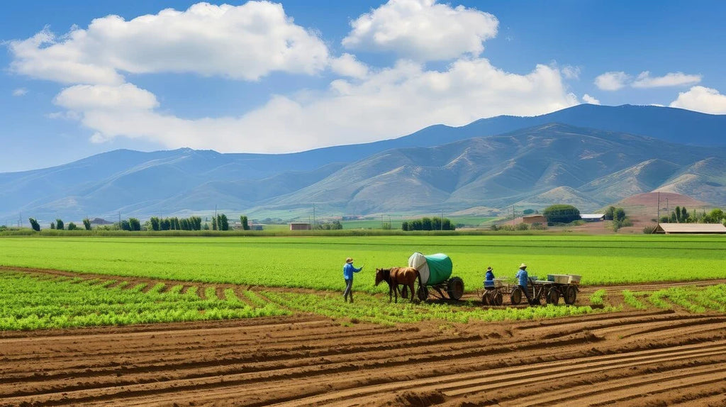 Agroecology: Bringing All Stakeholders of the Environment in a Single Picture